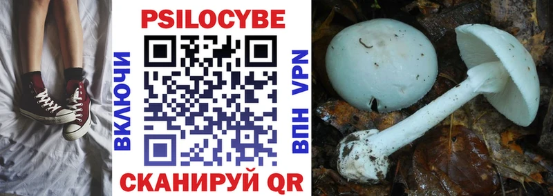 Псилоцибиновые грибы ЛСД  Купить где  Туапсе 