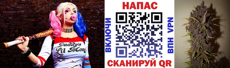 Бошки марихуана гибрид  Купить где  Туапсе 